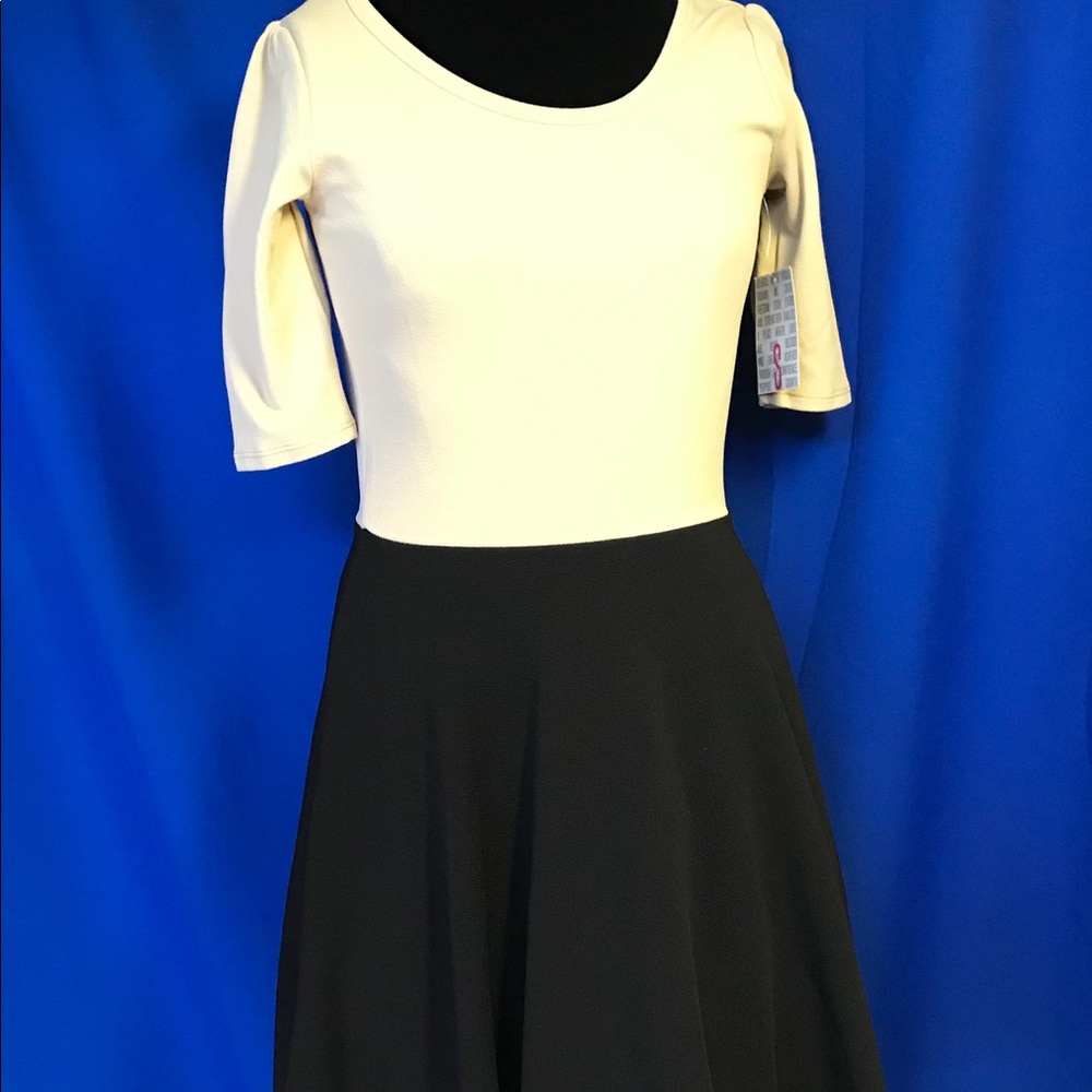 LuLaRoe Nicole Dress New